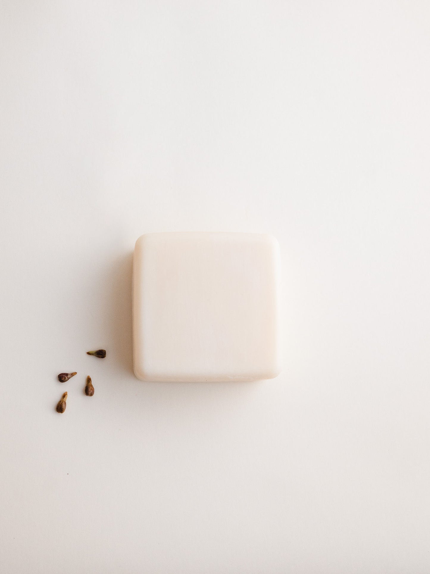 Champô sólido COSBE