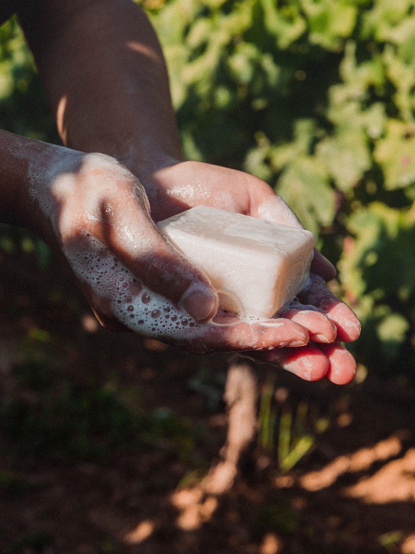 Champô sólido COSBE